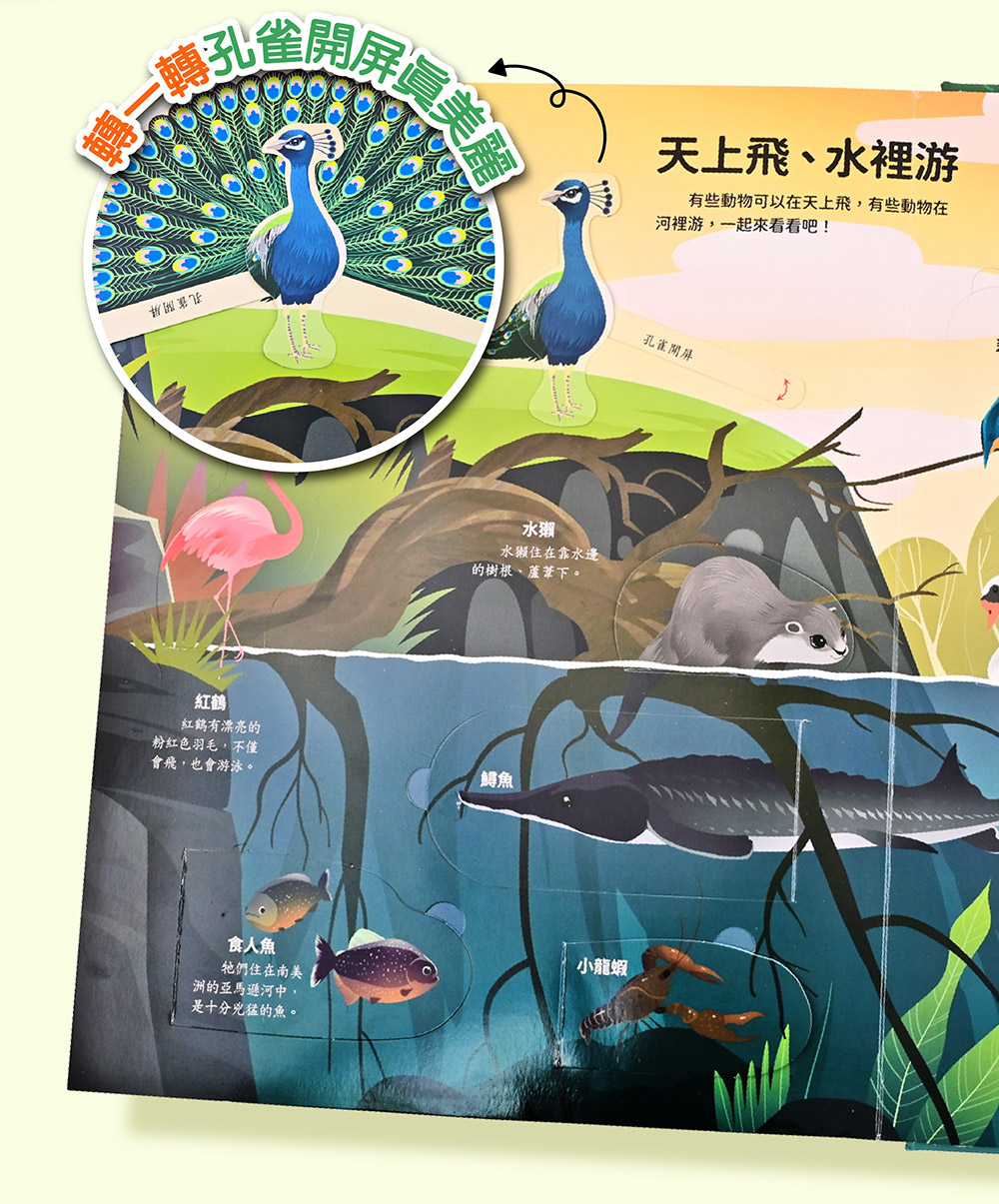 神奇的動物百科立體翻翻書